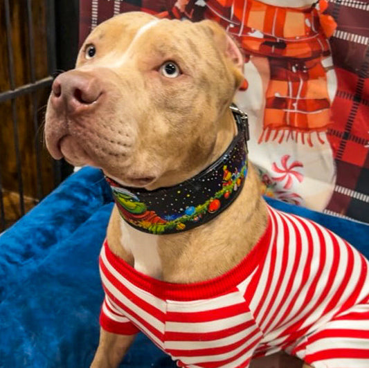 The Grinch Limited Edition Collar